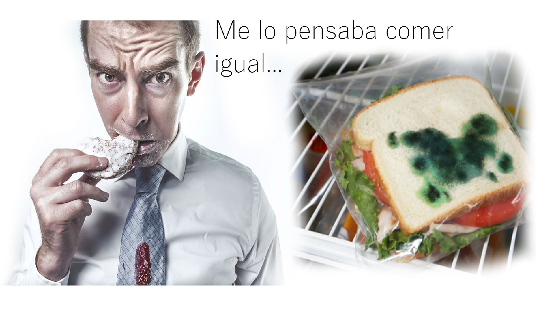 bolsas_mohosas_final.jpg bolsas_mohosas_final.jpg
