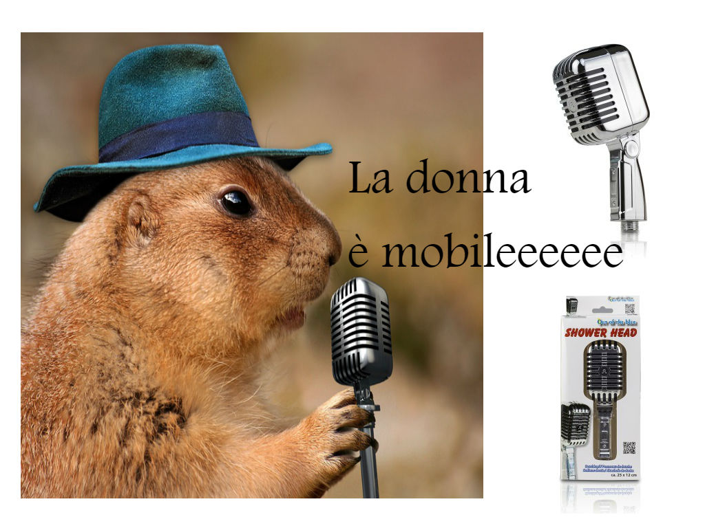 grifo_de_ducha_microfono.jpg grifo_de_ducha_microfono.jpg