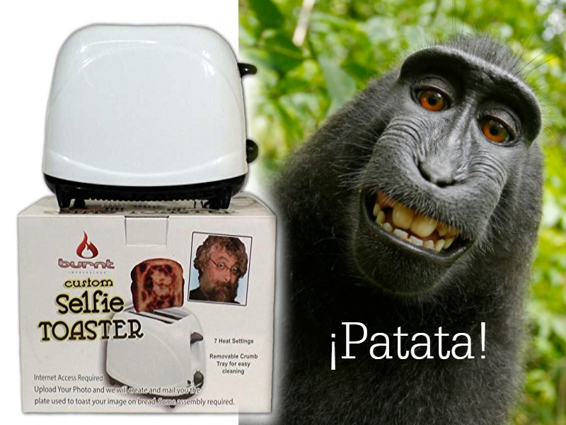 tostadora-selfie_final.jpg tostadora-selfie_final.jpg