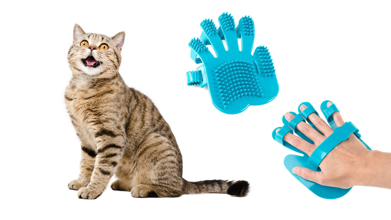 rascador_de_mascotas.jpg rascador_de_mascotas.jpg