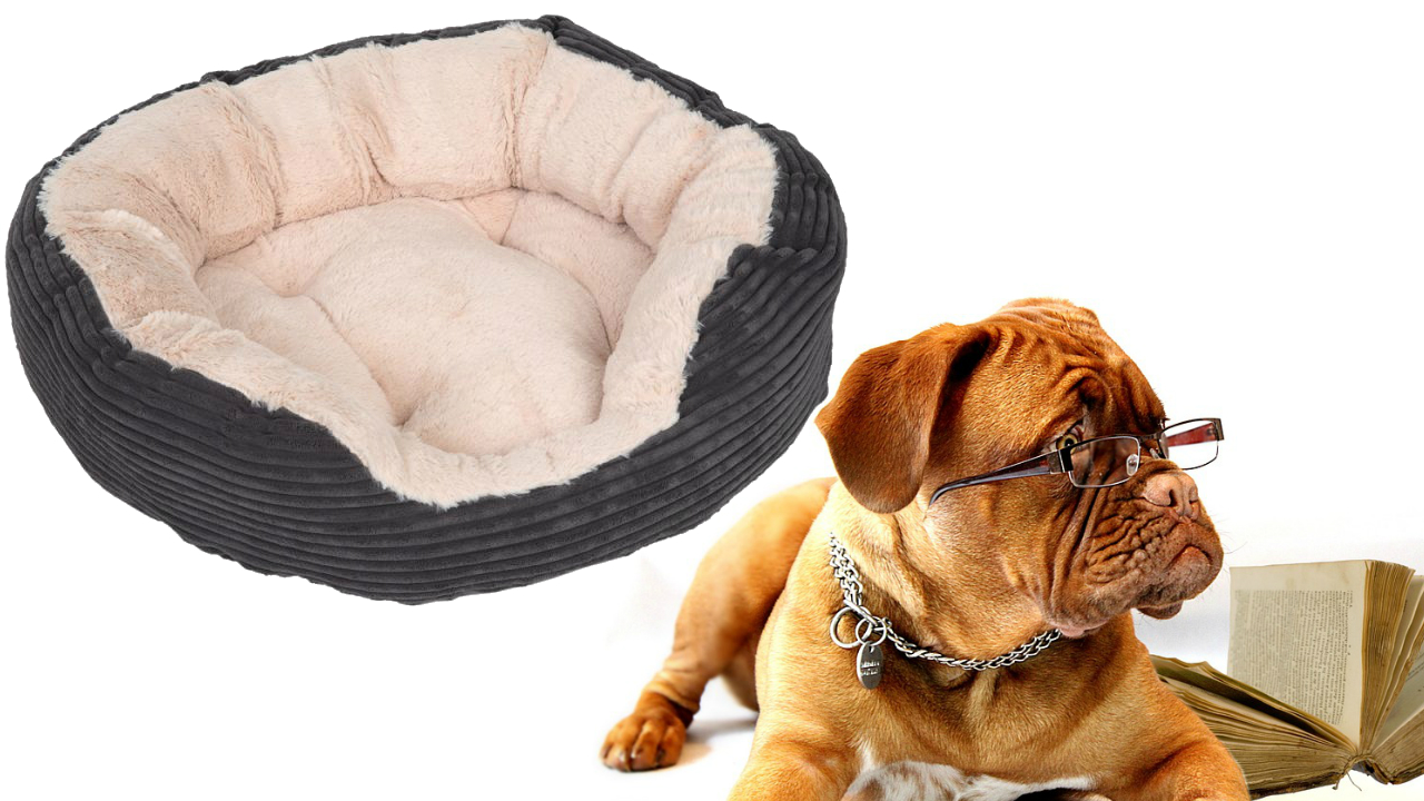 74427_pla_hundebett_cozy_cord_fg_2268_1.jpg 74427_pla_hundebett_cozy_cord_fg_2268_1.jpg